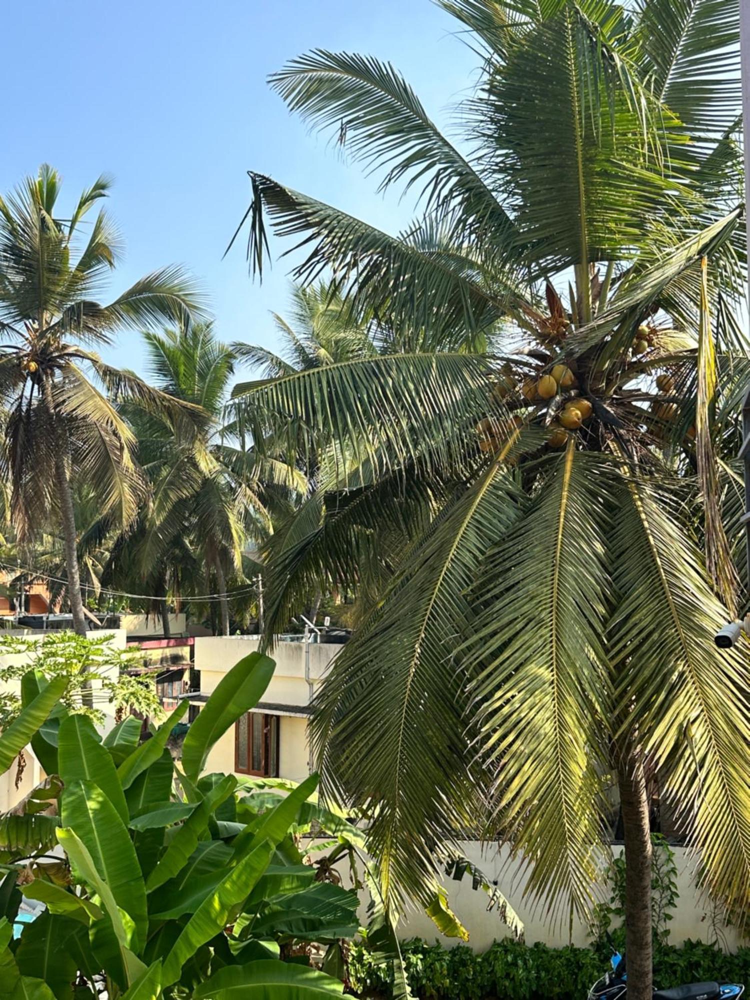 Santa Maria, Trivandrum - An Airport Boutique By The Sea Bed & Breakfast Thiruvananthapuram Dış mekan fotoğraf