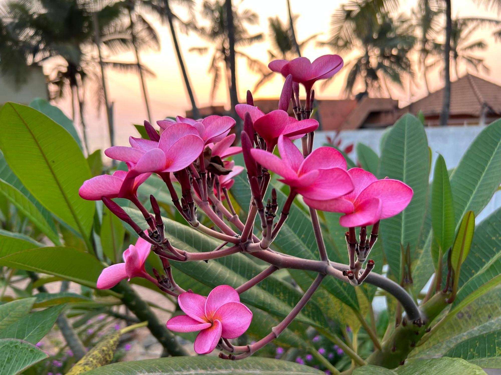 Santa Maria, Trivandrum - An Airport Boutique By The Sea Bed & Breakfast Thiruvananthapuram Dış mekan fotoğraf